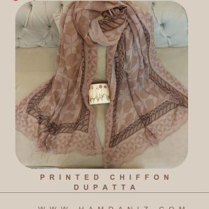 Printed Chiffon Dupatta : Brown-HD55