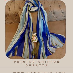 Printed Chiffon Dupatta : Blue Stripe-HD57B