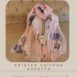 Printed Chiffon Dupatta : Pink-Grey-HD58