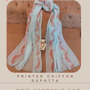 Printed Chiffon Dupatta : SkyBlue-HD62