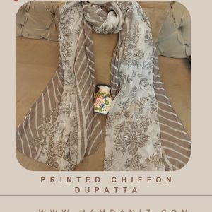 Printed Chiffon Dupatta : Grey-HD69
